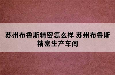 苏州布鲁斯精密怎么样 苏州布鲁斯精密生产车间